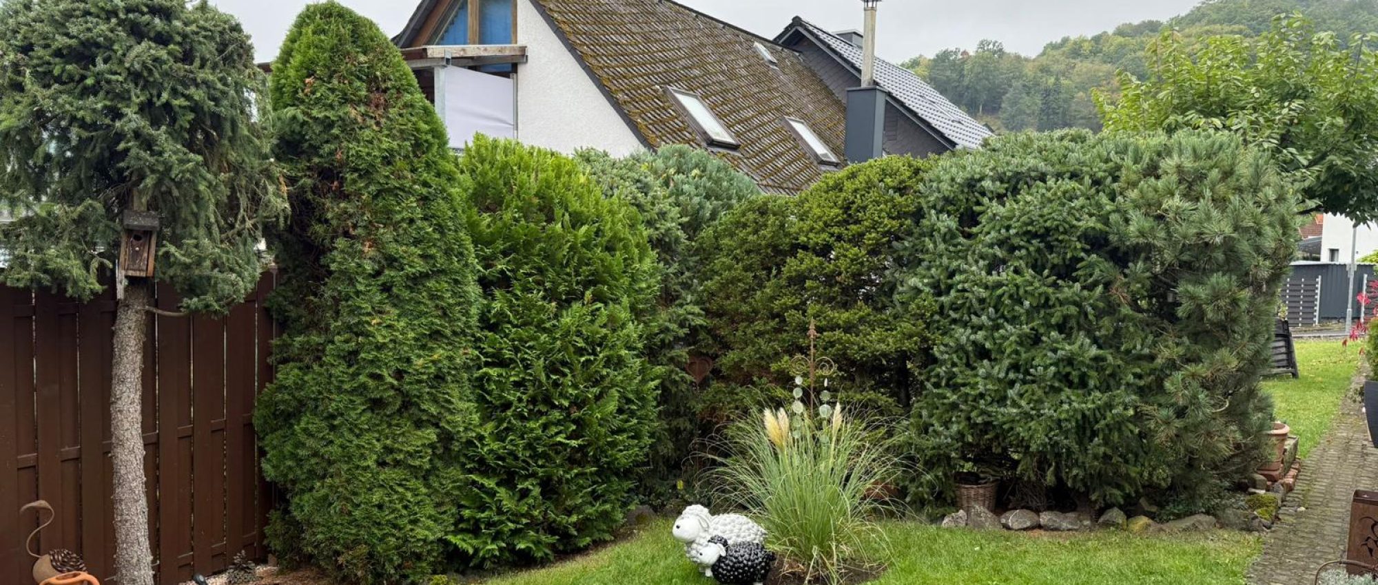 WhatsApp Bild 2025-10-14 um 07.09.57_b157a9b7