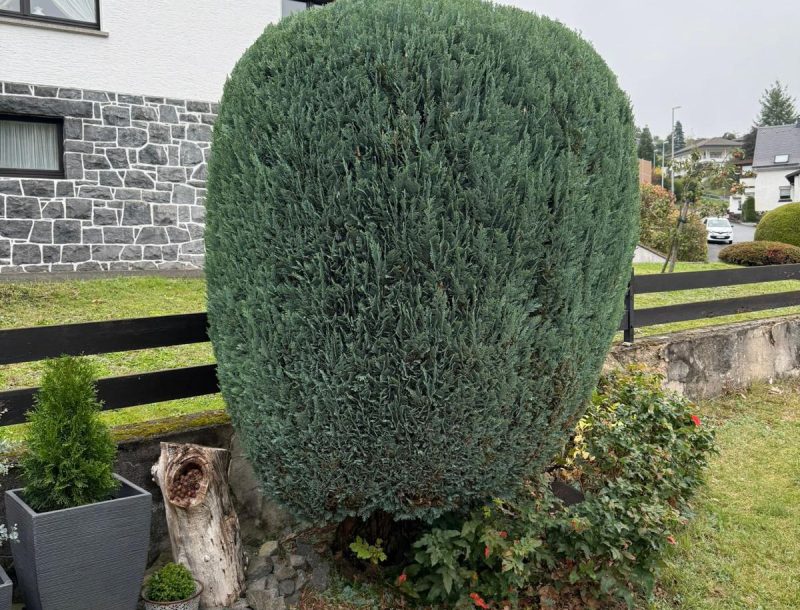 WhatsApp Bild 2025-10-14 um 20.48.24_f1f1f468