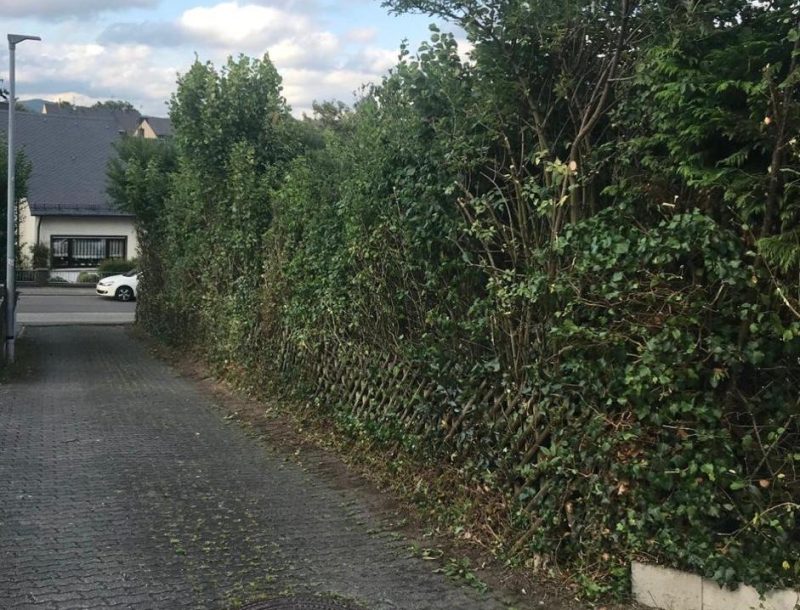 WhatsApp Bild 2025-10-14 um 20.58.54_d34afdf3