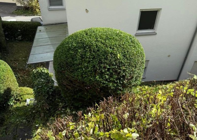 WhatsApp Bild 2025-10-21 um 14.49.52_3b2c4445