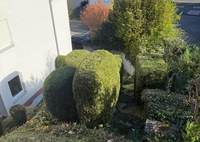 WhatsApp Bild 2025-10-21 um 14.51.53_f4126e71